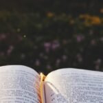 Bible ouverte éclairée par la lumière du soleil