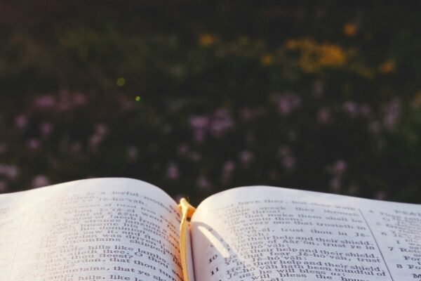 Bible ouverte éclairée par la lumière du soleil
