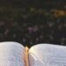 Bible ouverte éclairée par la lumière du soleil